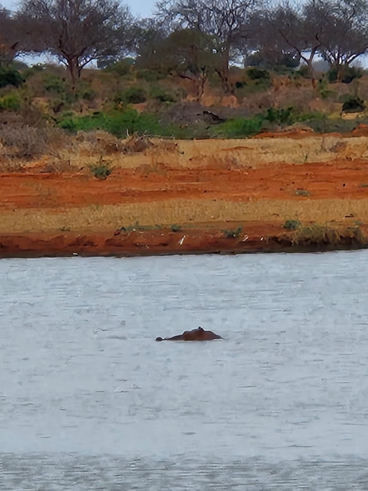 Tsavo East & Taita Hills Quick Escape gallery