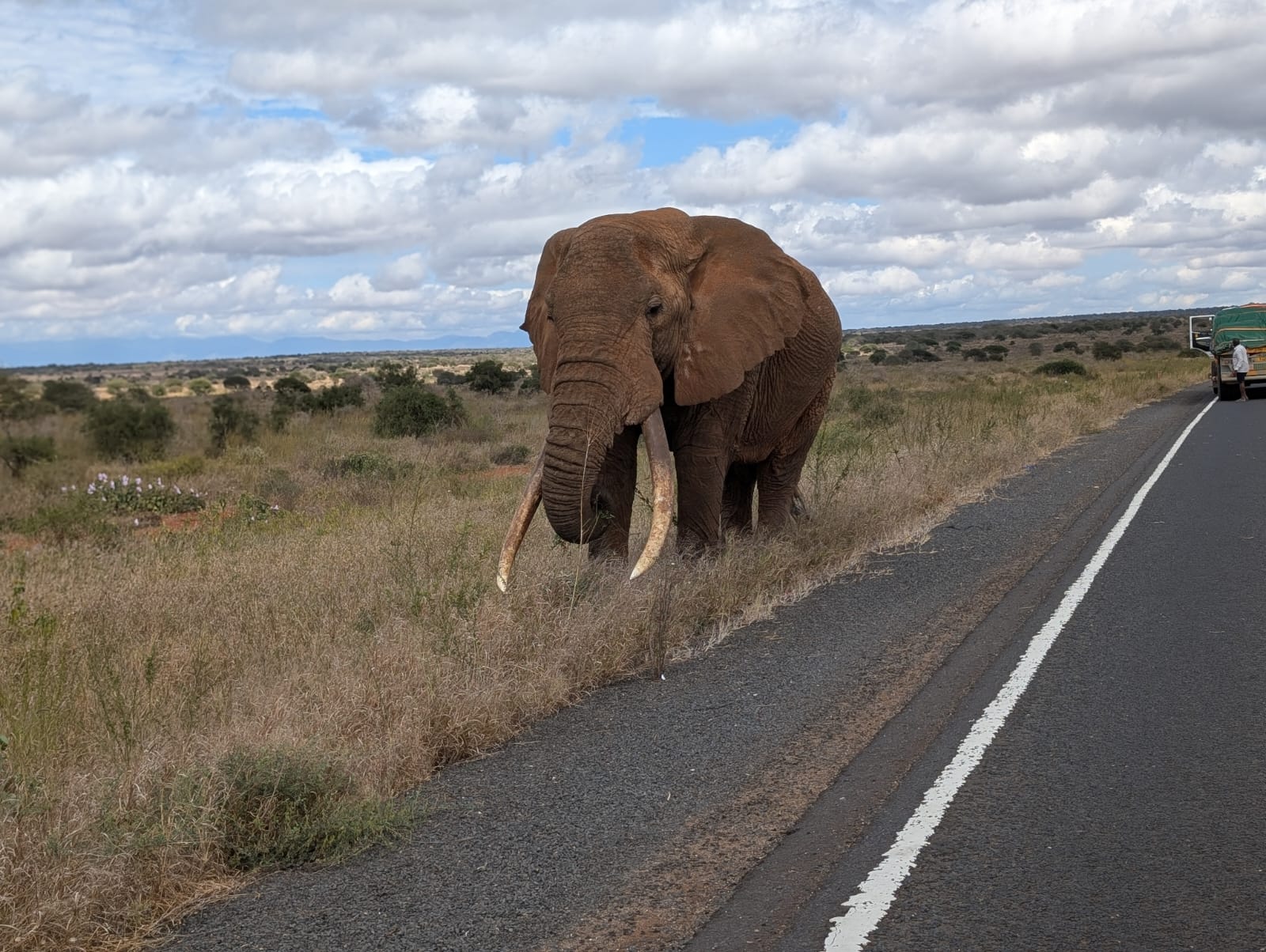 Tsavo East & Taita Hills Quick Escape gallery