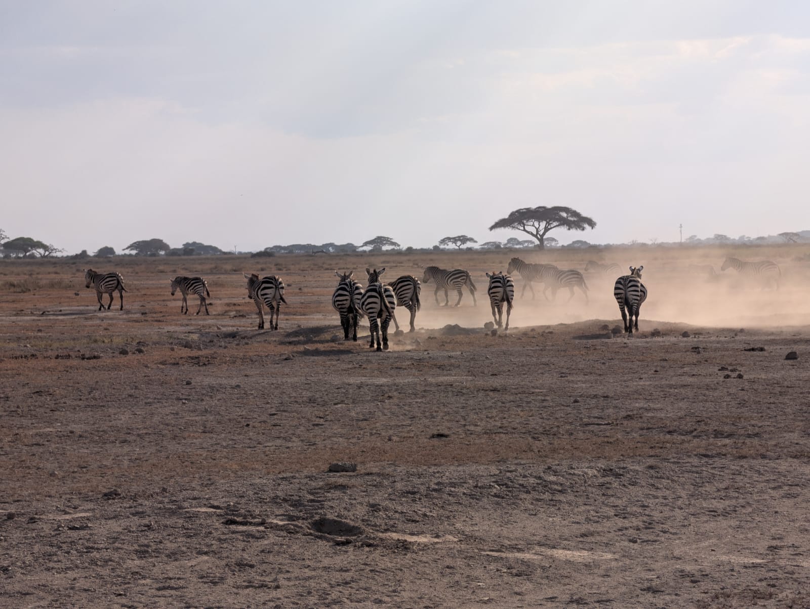 Tsavo East & Taita Hills Quick Escape gallery